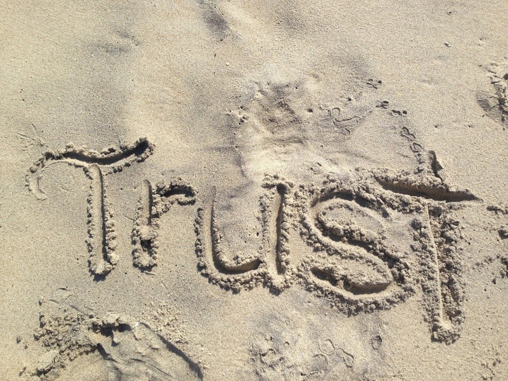 Leaders and trust