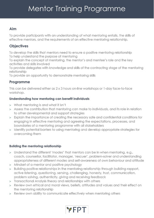 E-mentor training programme